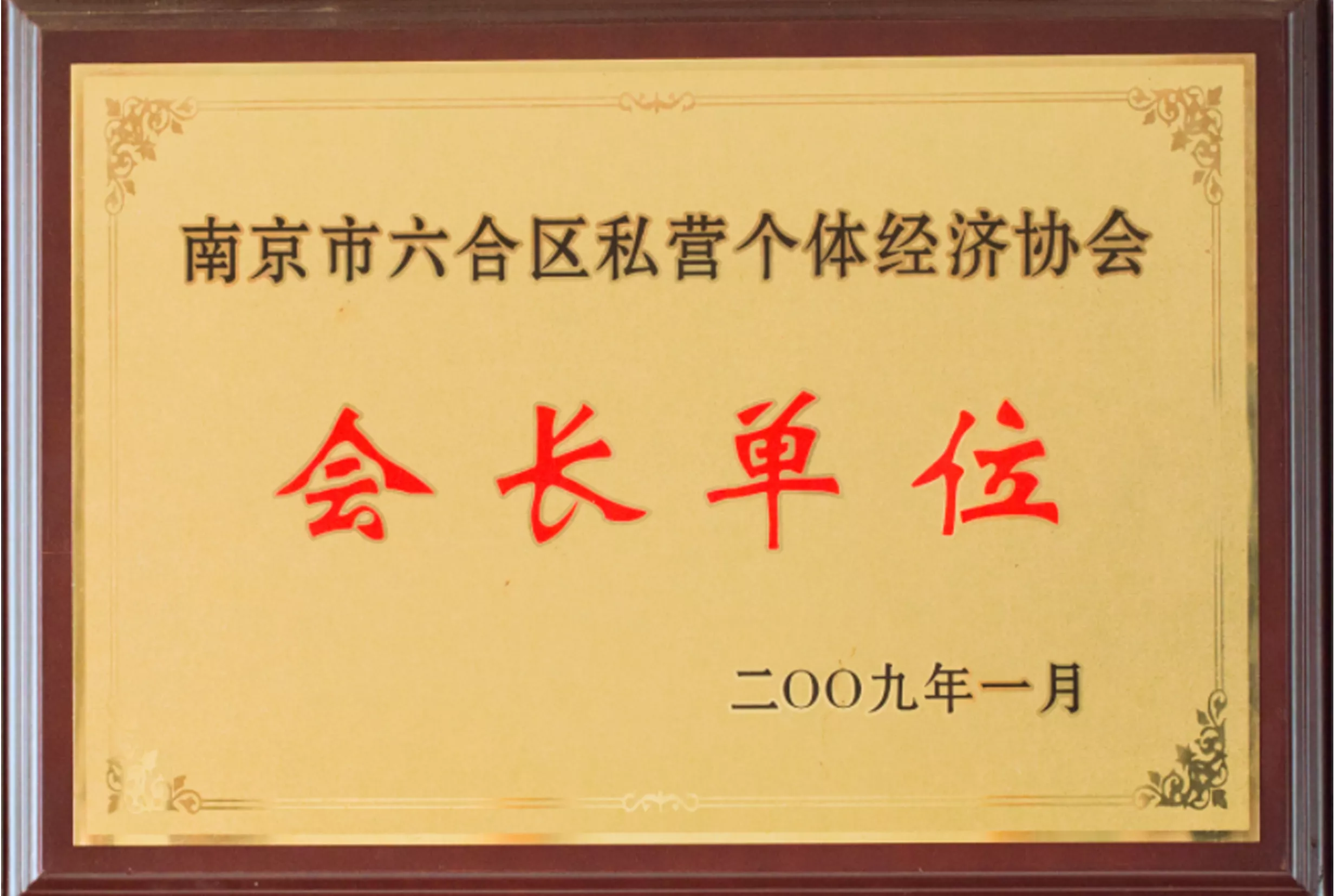 会长单位